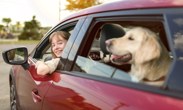 a woman drives her red car with a yellow dog hanging its head out the back window