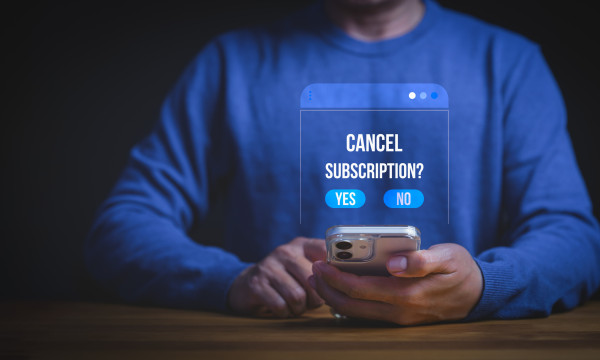Individual reviewing subscriptions